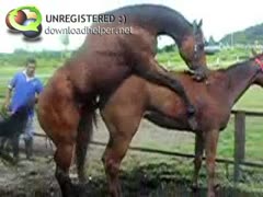 In a zoophilia pornographic movie, horse sex